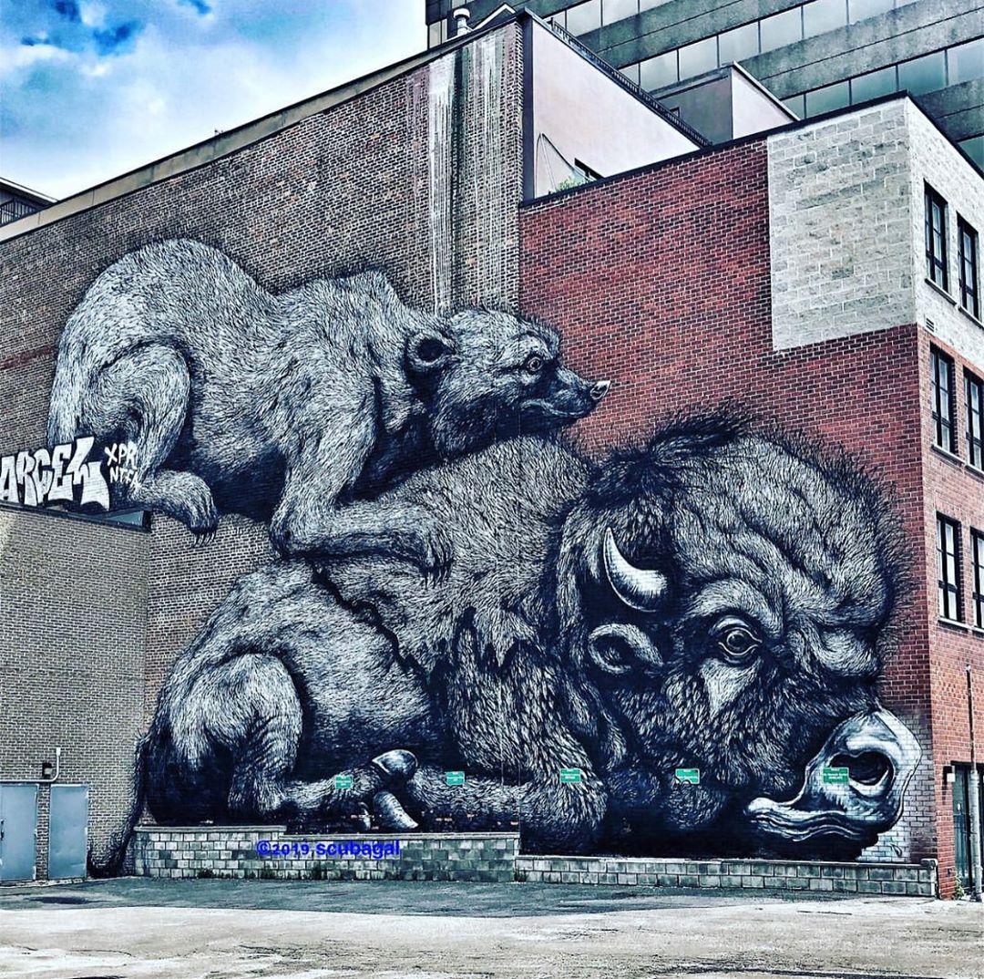 35 Eerily Beautiful Animal Murals By Belgian Street Artist ROA