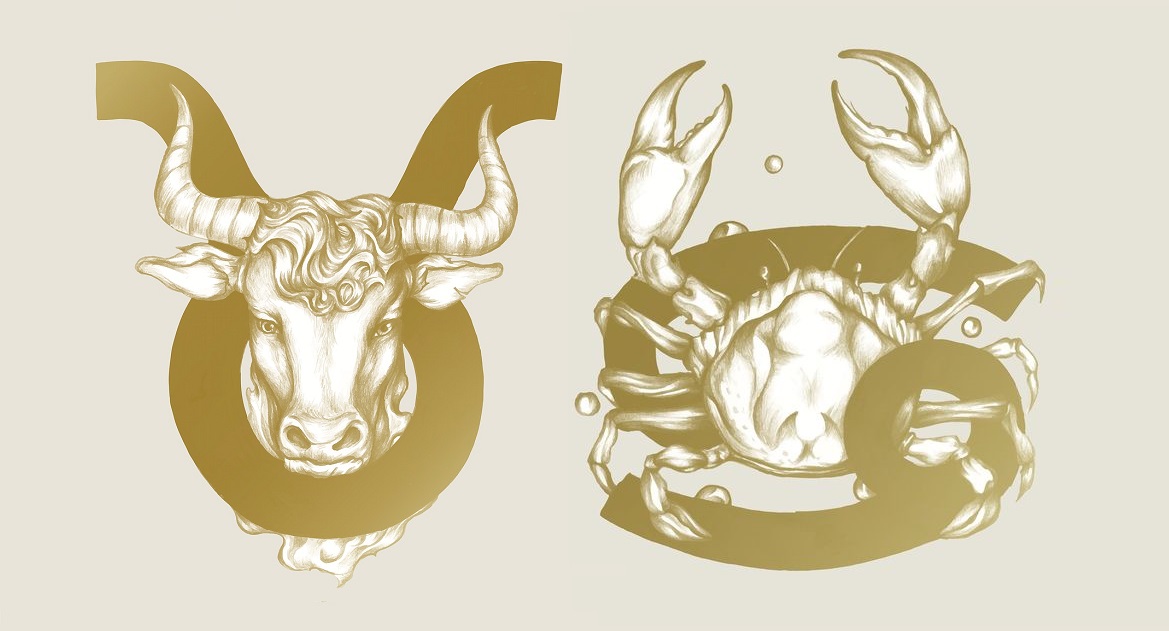 Taurus And Cancer Friendship Are They Compatible As Friends 