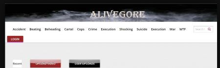 Websites Like BestGore - What Are Best Shock Sites in 2022?