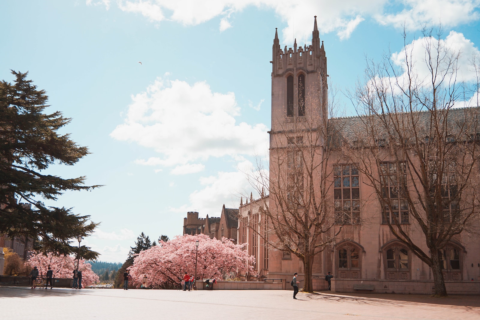 UW Admissions Unveiled Examining the Acceptance Rate and Admission